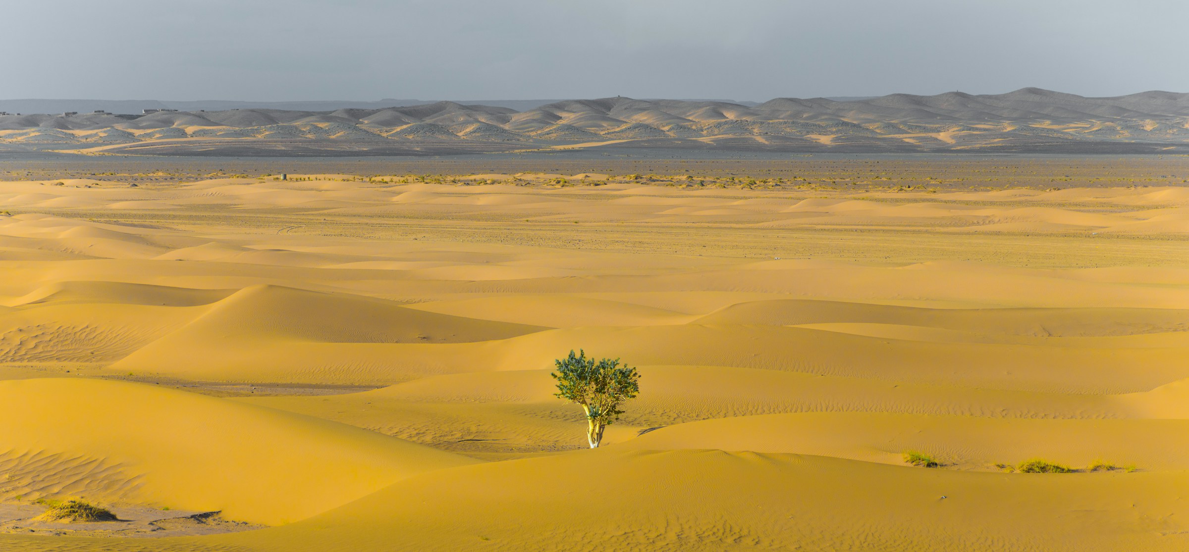 A Guide to Building a Resilient Workplace