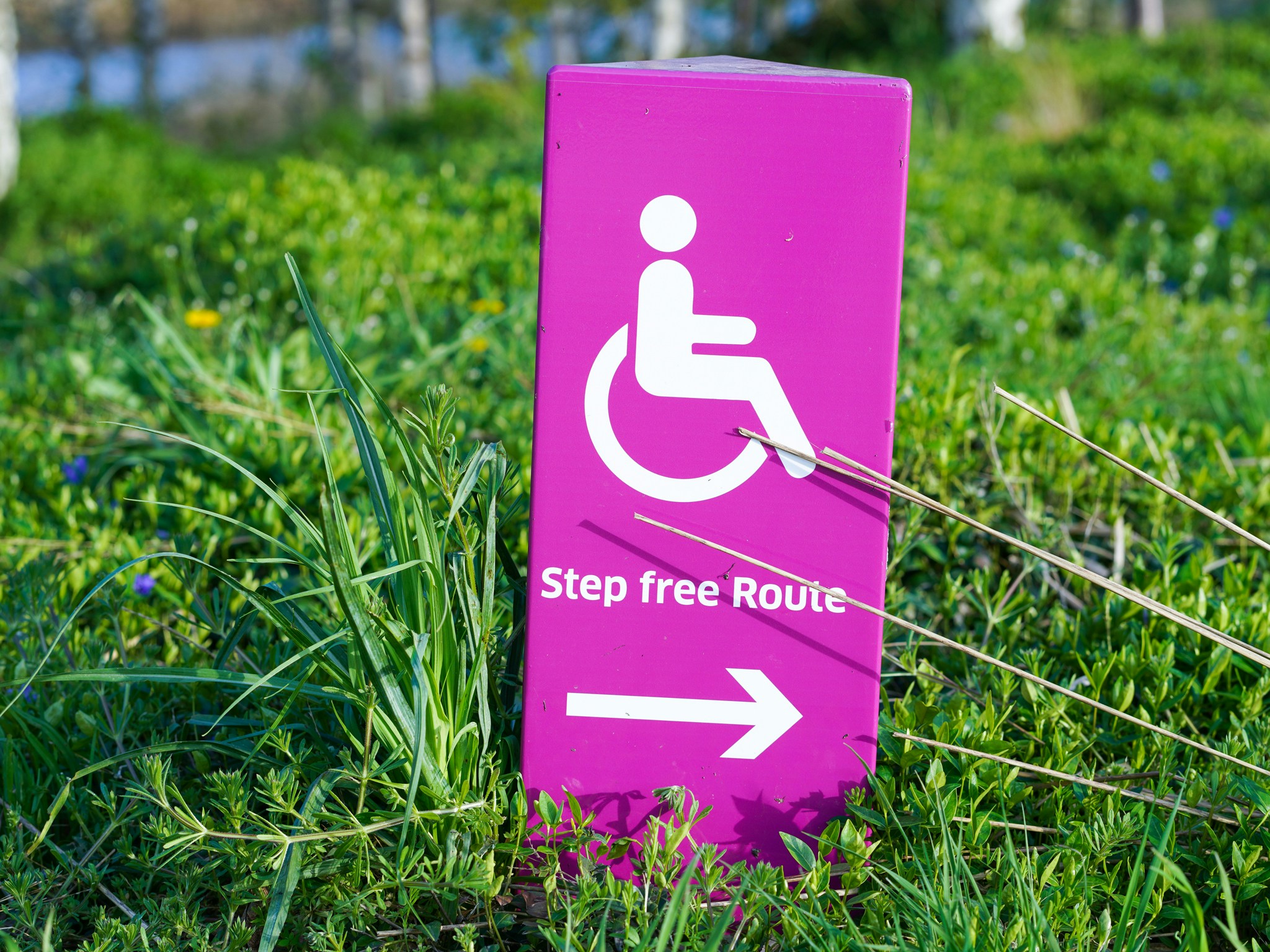 Inclusive Hiring: Supporting Candidates With Disabilities