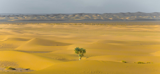 A Guide to Building a Resilient Workplace